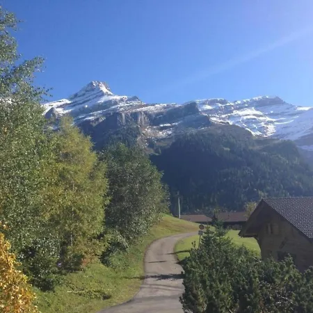 Appartement Einzimmerwohnung In Authentischem Schweizer Chalet Fur 2-3 Personen, Private Terrasse, Mit Fruhstuck *
