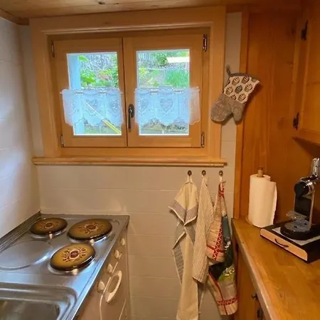Einzimmerwohnung In Authentischem Schweizer Chalet Fur 2-3 Personen, Private Terrasse, Mit Fruhstuck Les Diablerets